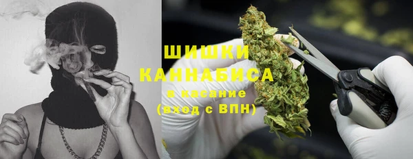 МДПВ Богданович