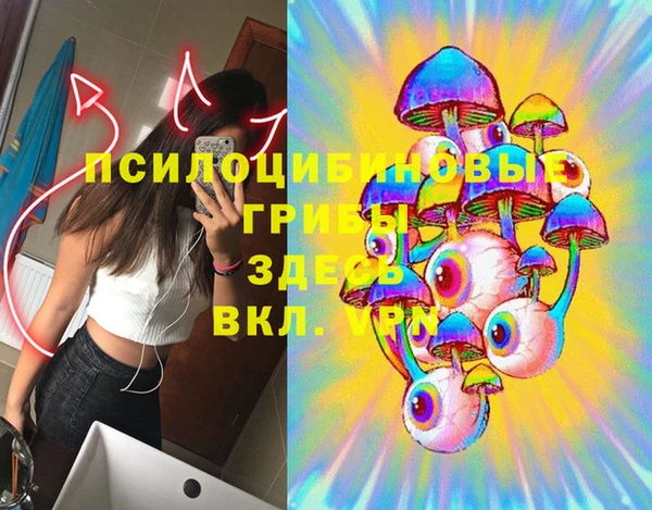 экстази Богородицк