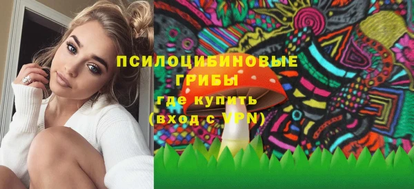 МДПВ Богданович