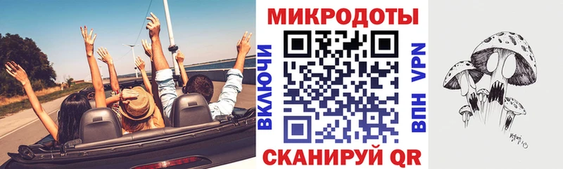 площадка Telegram  Кирсанов  Псилоцибиновые грибы Psilocybine cubensis 