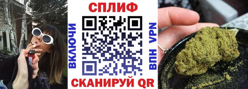 Каннабис планчик Кирсанов